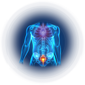 World Forum Trends in Prostate Imaging